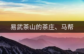 易武茶山的茶莊、馬幫