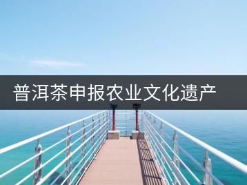 普洱茶申報農業(yè)文化遺產 糧農專家赴滇考察