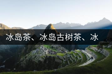 冰島茶、冰島古樹茶、冰島茶區(qū)茶、冰島茶區(qū)古樹茶