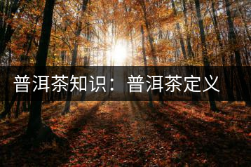 普洱茶知識(shí):普洱茶定義釋意大全
