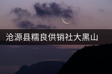 滄源縣糯良供銷社大黑山茶廠