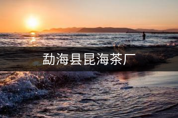 勐?？h昆海茶廠