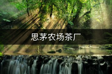 思茅農(nóng)場茶廠