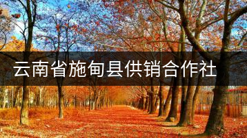 云南省施甸縣供銷合作社萬興茶廠