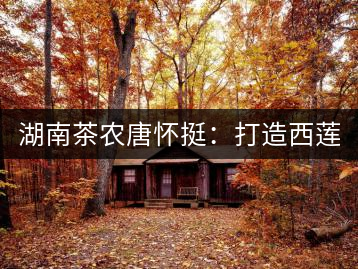 湖南茶農(nóng)唐懷挺：打造西蓮茶葉品牌 做大茶葉產(chǎn)業(yè)規(guī)模