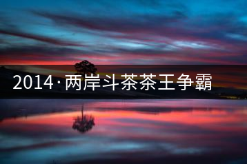 2014·兩岸斗茶茶王爭(zhēng)霸賽茶人觀點(diǎn)