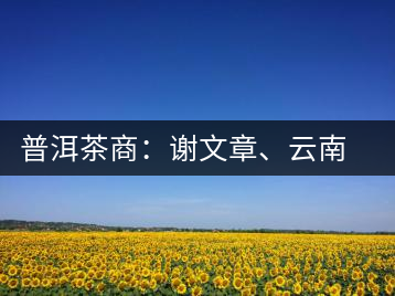 普洱茶商：謝文章、云南谷申商貿(mào)有限公司總經(jīng)理