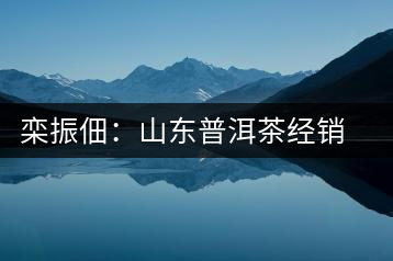欒振佃:山東普洱茶經(jīng)銷(xiāo)第一人