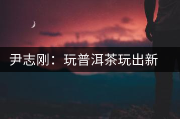 尹志剛:玩普洱茶玩出新心情