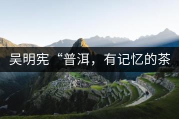 吳明憲“普洱，有記憶的茶品”