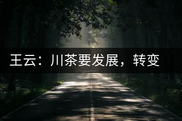 王云：川茶要發(fā)展，轉(zhuǎn)變思想是關(guān)鍵