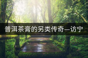 普洱茶膏的另類傳奇—訪寧洱老茶人湯謨