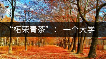 “柘榮青茶”： 一個(gè)大學(xué)生的創(chuàng)業(yè)夢想