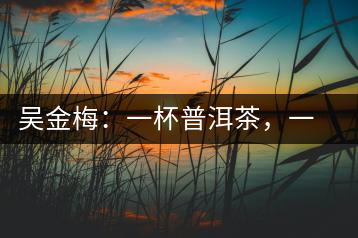 吳金梅：一杯普洱茶，一份云南情