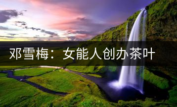 鄧雪梅：女能人創(chuàng)辦茶葉合作社帶動茶農共同富裕