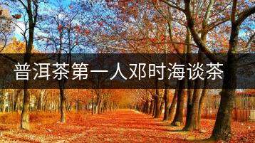 普洱茶第一人鄧時海談茶經