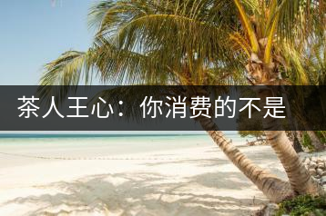 茶人王心：你消費(fèi)的不是茶，是我