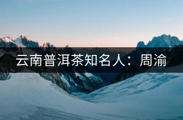 云南普洱茶知名人：周渝