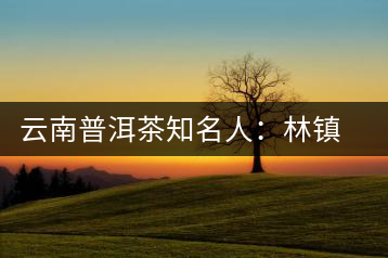 云南普洱茶知名人:林鎮(zhèn)浩