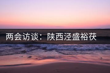 兩會(huì)訪談：陜西涇盛裕茯茶集團(tuán)董事長(zhǎng)馬恒光