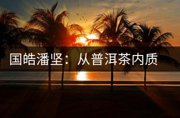 國(guó)皓潘堅(jiān)：從普洱茶內(nèi)質(zhì)看茶的好壞