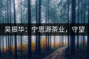 吳振華：寧思源茶業(yè)，守望家鄉(xiāng) 做好“金獎(jiǎng)茶王”