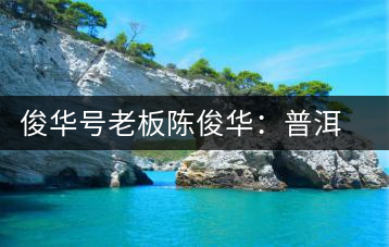 俊華號(hào)老板陳俊華:普洱茶人做茶有道