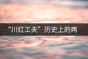 “川紅工夫”歷史上的兩次獻禮