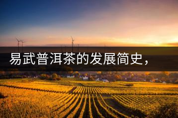 易武普洱茶的發(fā)展簡(jiǎn)史，昔日的貢茶如今依然輝煌