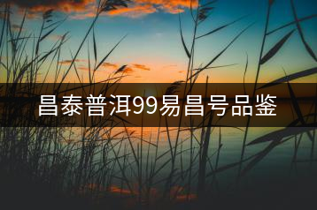昌泰普洱99易昌號(hào)品鑒
