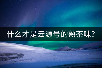 什么才是云源號的熟茶味？