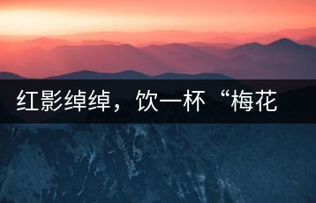 紅影綽綽，飲一杯“梅花”醉