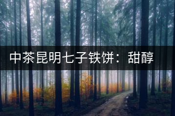 中茶昆明七子鐵餅：甜醇甘潤(rùn)，陳韻綿長(zhǎng)