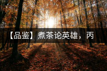 【品鑒】煮茶論英雄，丙申年易武麻黑