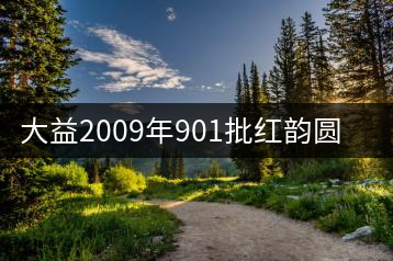 大益2009年901批紅韻圓茶熟茶品評(píng)