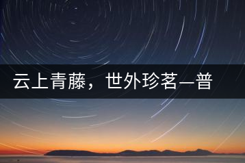 云上青藤，世外珍茗—普秀百年藤條茶即將上市