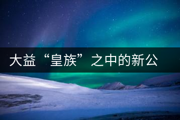 大益“皇族”之中的新公主鳳凰格格甜美來襲