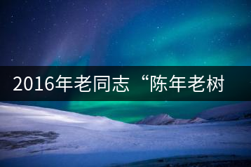 2016年老同志“陳年老樹◎珍品普洱”隆重上市！