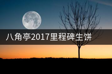 八角亭2017里程碑生餅，擁抱半個(gè)世紀(jì)的情懷