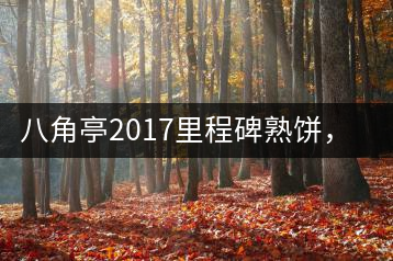八角亭2017里程碑熟餅，自先發(fā)酵而后愛(ài)人