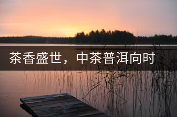 茶香盛世，中茶普洱向時代獻禮