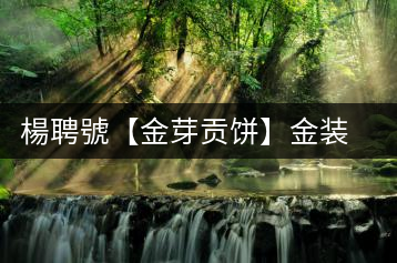 楊聘號(hào)【金芽貢餅】金裝盛開