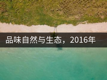 品味自然與生態(tài)，2016年勐傣“大雪山古樹茶”