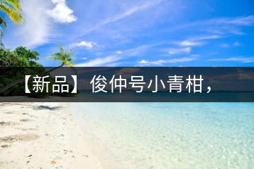 【新品】俊仲號小青柑，青果來傾城