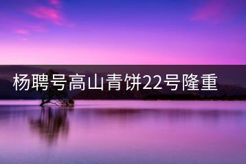 楊聘號高山青餅22號隆重上市