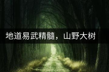 地道易武精髓，山野大樹(shù)珍品—普秀易武生態(tài)喬木圓茶即將上市