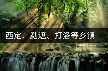 西定、勐遮、打洛等鄉(xiāng)鎮(zhèn)古茶樹(shù)資源