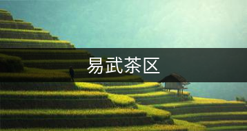 易武茶區(qū)