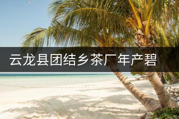 云龍縣團結鄉(xiāng)茶廠年產碧螺春茶２５噸