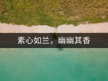 素心如蘭，幽幽其香